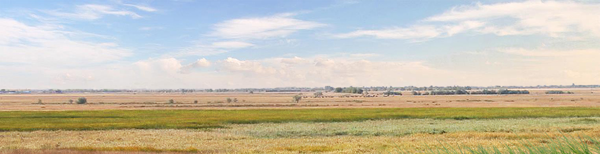 photo zhetyru